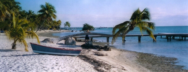 Beach sand, coconut palms & Atlantic